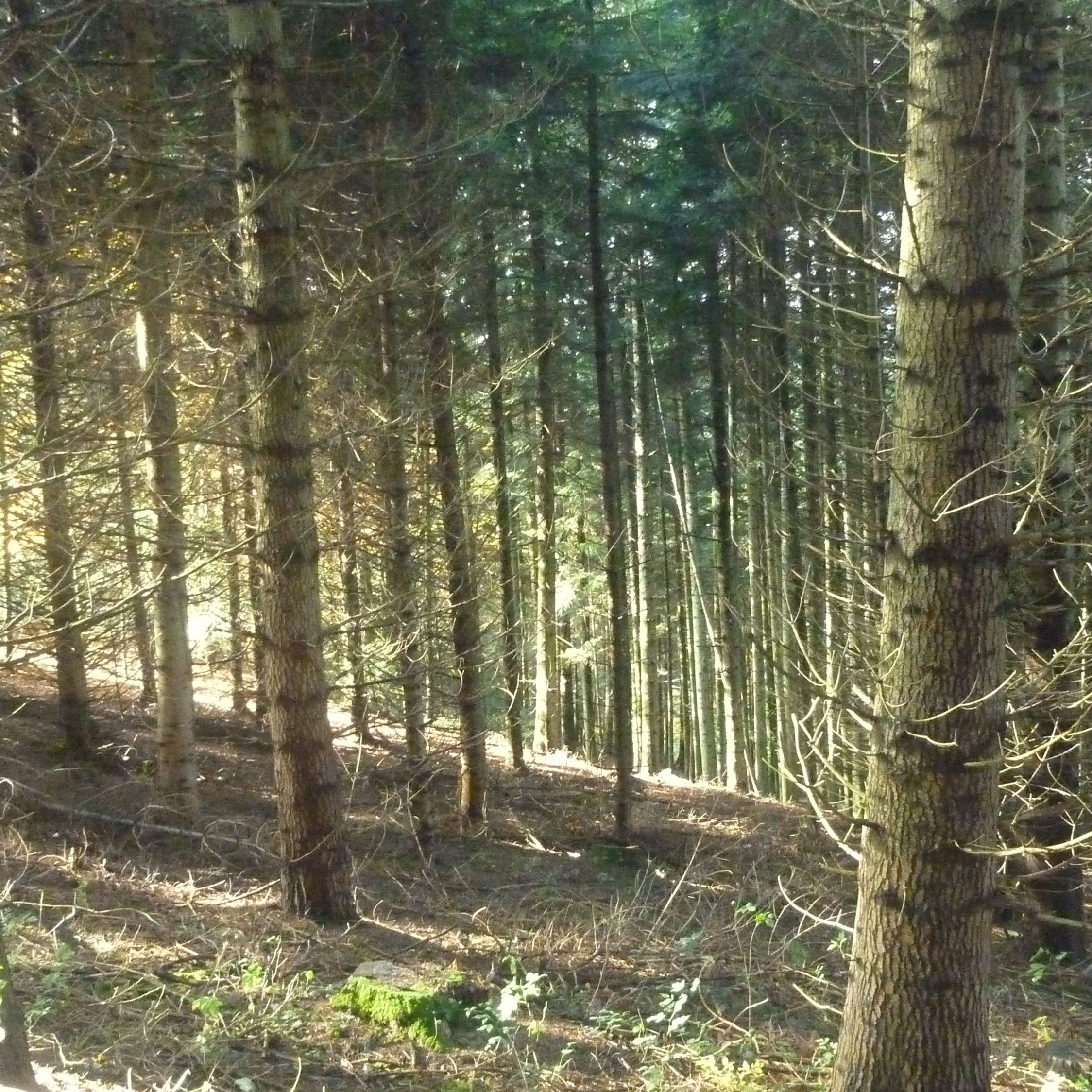 Photo de Robert DELAYRE